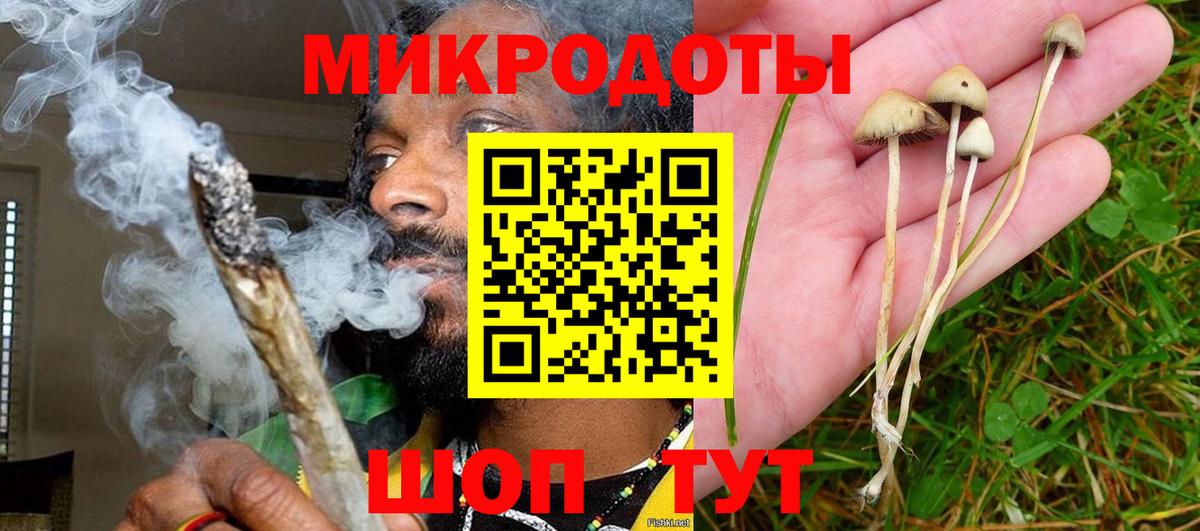 Старая Купавна  Псилоцибиновые грибы прущие грибы  Вход с VPN 